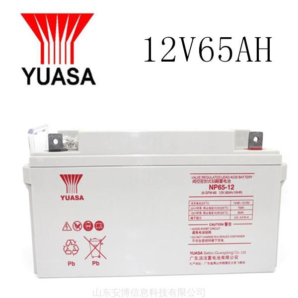 湯淺——鉛酸蓄電池·12V65AH