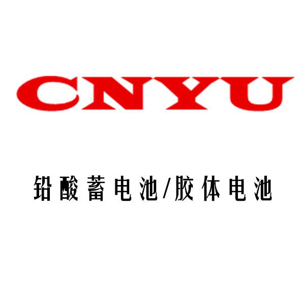 CNYU——森宇鉛酸免維護(hù)蓄電池